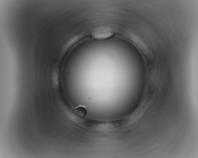 X0000113750112200909301039