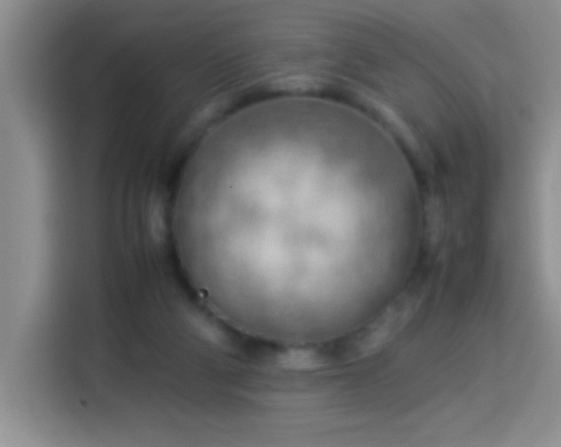 X0000113750114200909301039