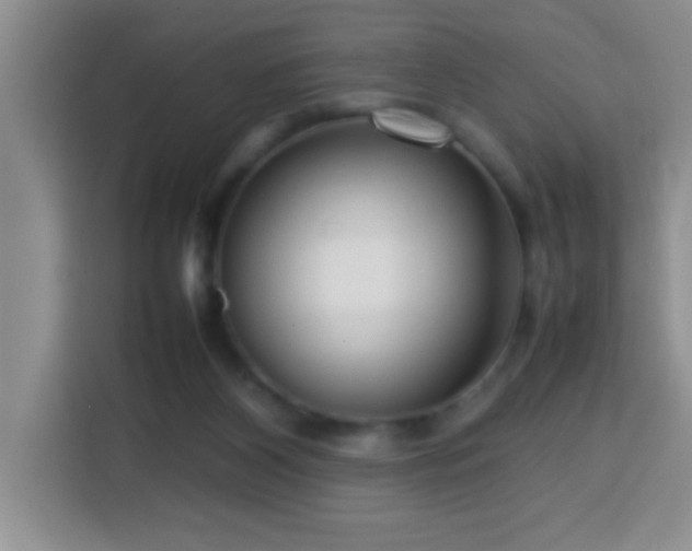 X0000113750116200909301039