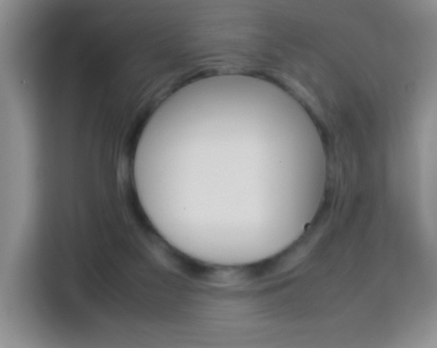 X0000113750117200909301039