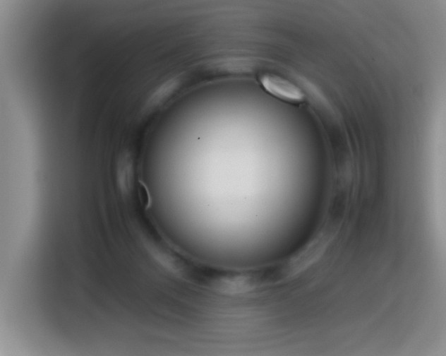 X0000113750120200909301039