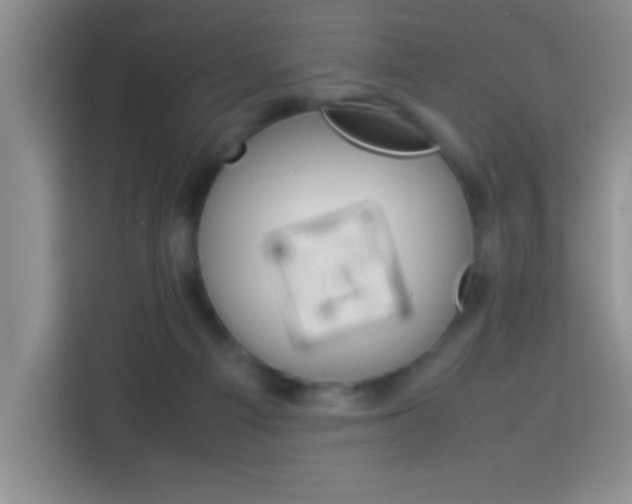 X0000113750121200909301039