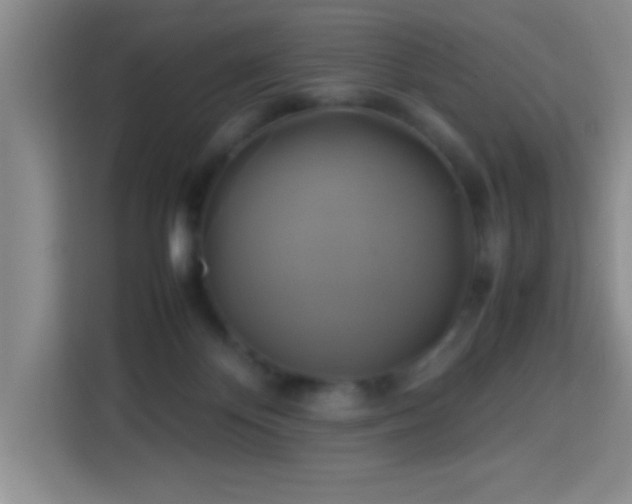 X0000113750124200909301039