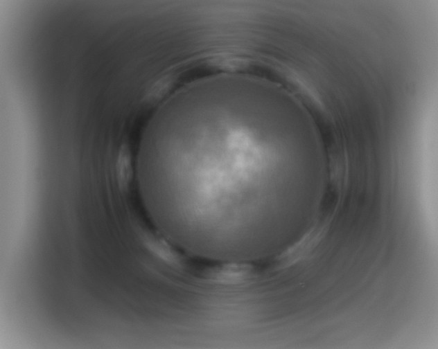 X0000113750128200909301039