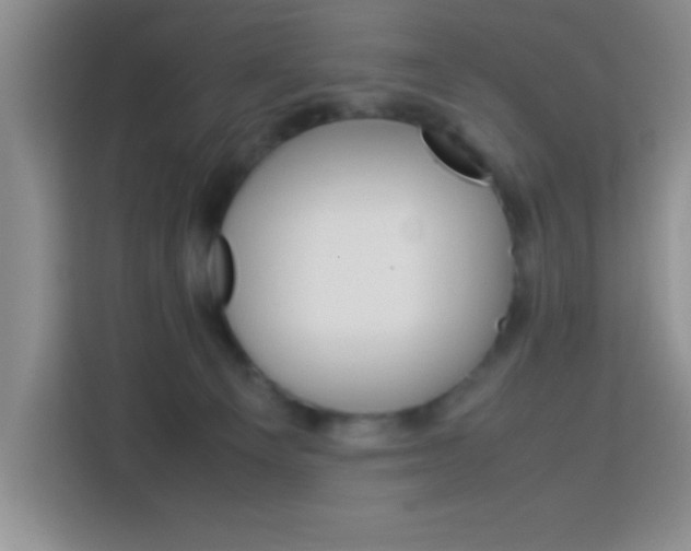 X0000113750129200909301039