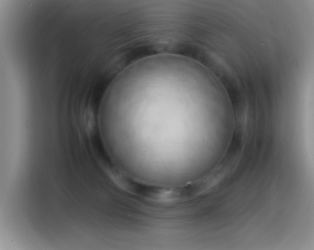 X0000113750130200909301039