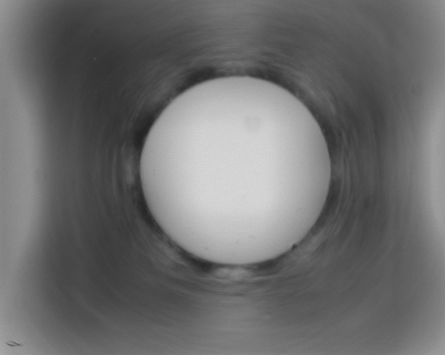 X0000113750133200909301039