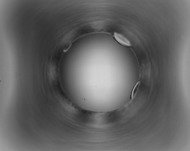 X0000113750136200909301039