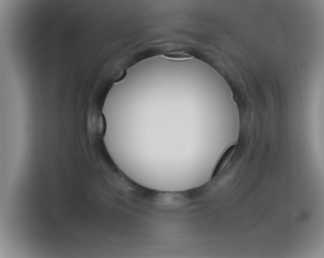 X0000113750137200909301039