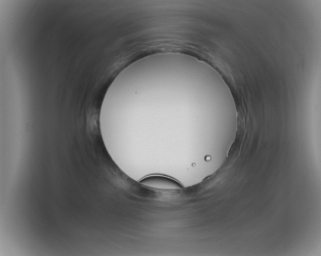 X0000113750141200909301039