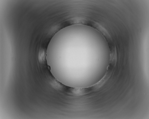 X0000113750142200909301039