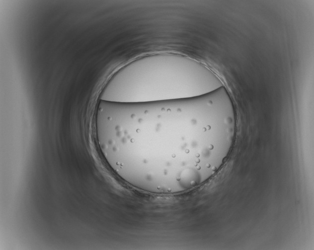 X0000113750145200909301038