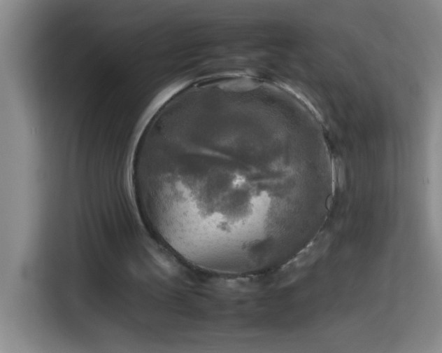 X0000113750147200909301038