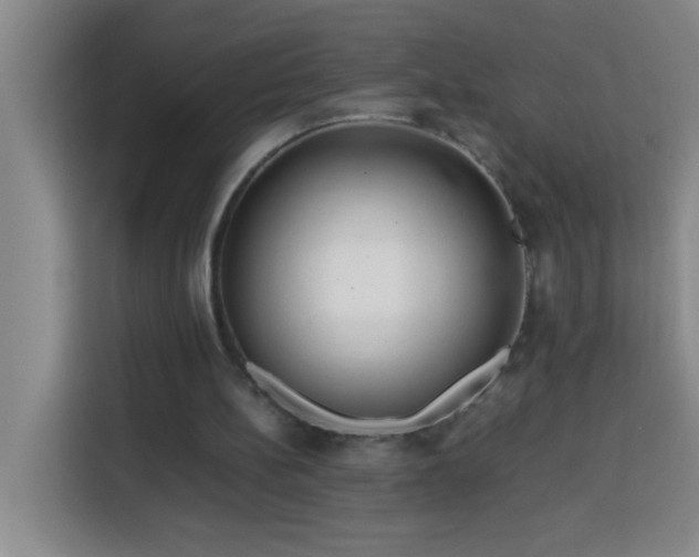 X0000113750148200909301038