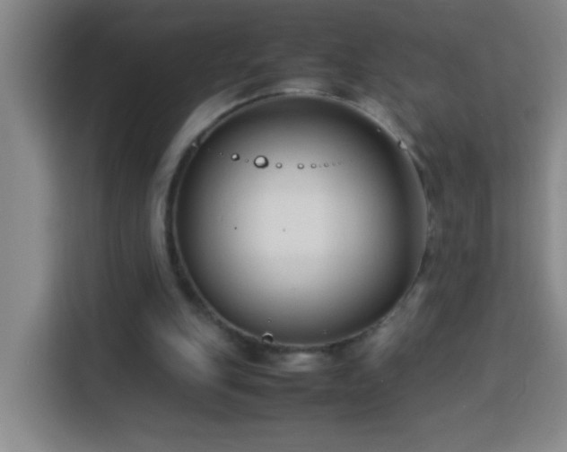 X0000113750151200909301038