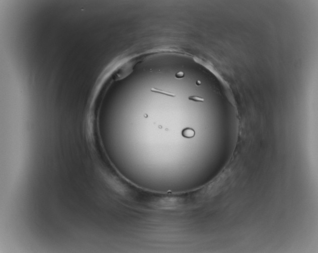 X0000113750152200909301038