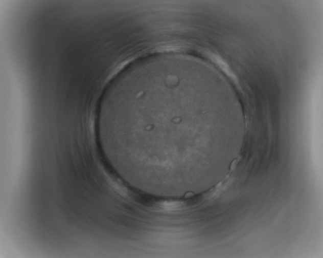 X0000113750154200909301038