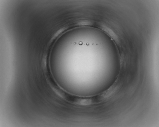 X0000113750155200909301038