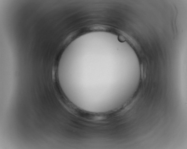 X0000113750157200909301039