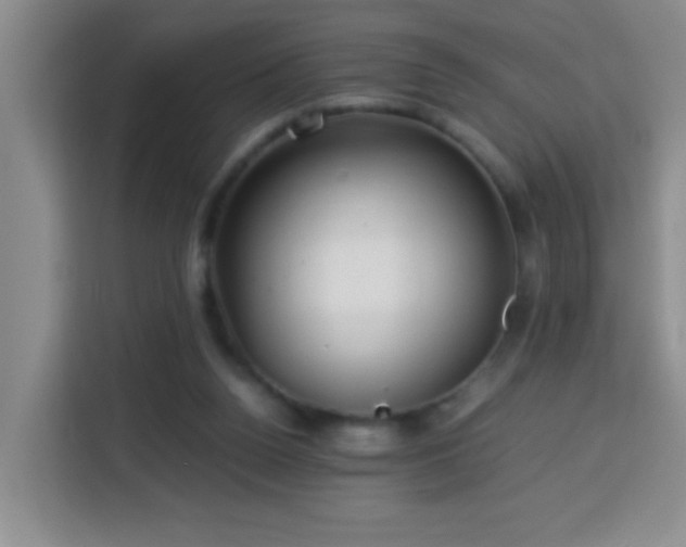 X0000113750160200909301039