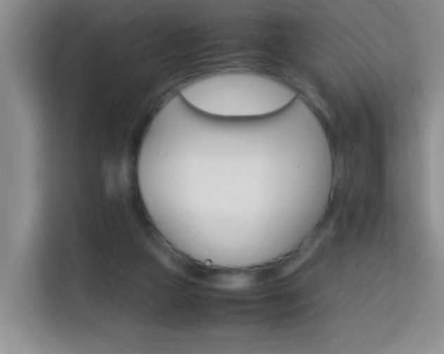 X0000113750161200909301039