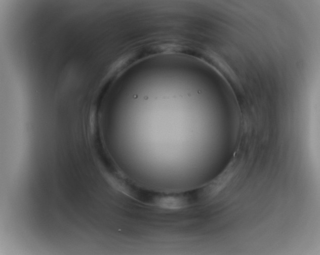 X0000113750163200909301039