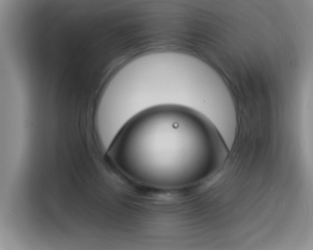 X0000113750164200909301039