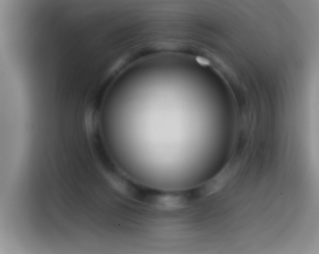 X0000113750168200909301039