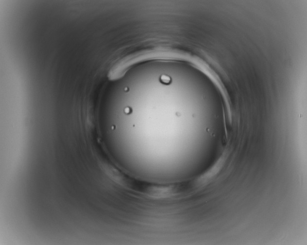 X0000113750170200909301039