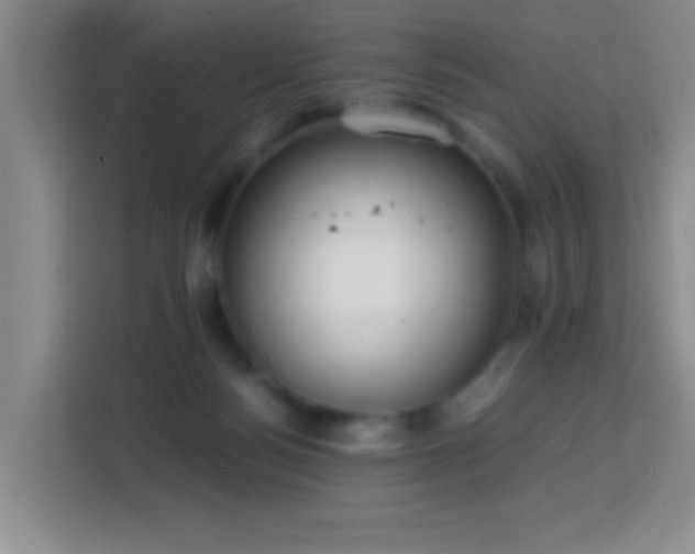 X0000113750172200909301039