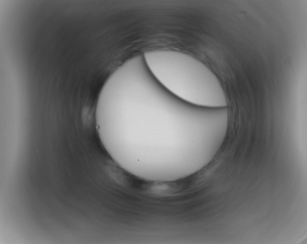 X0000113750177200909301039