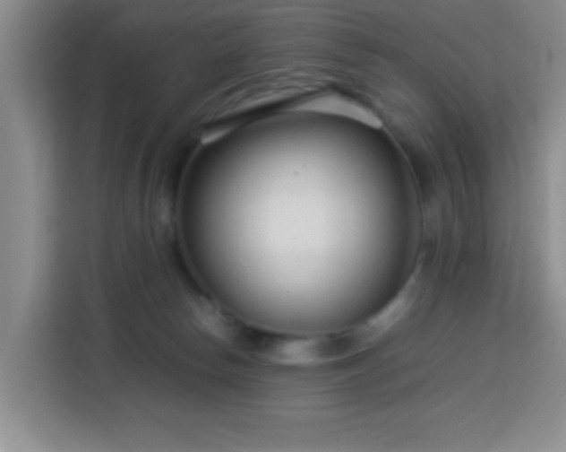 X0000113750178200909301039