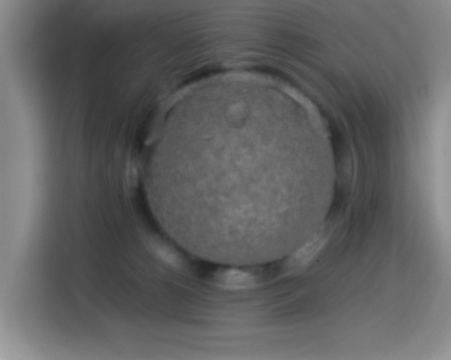 X0000113750180200909301039