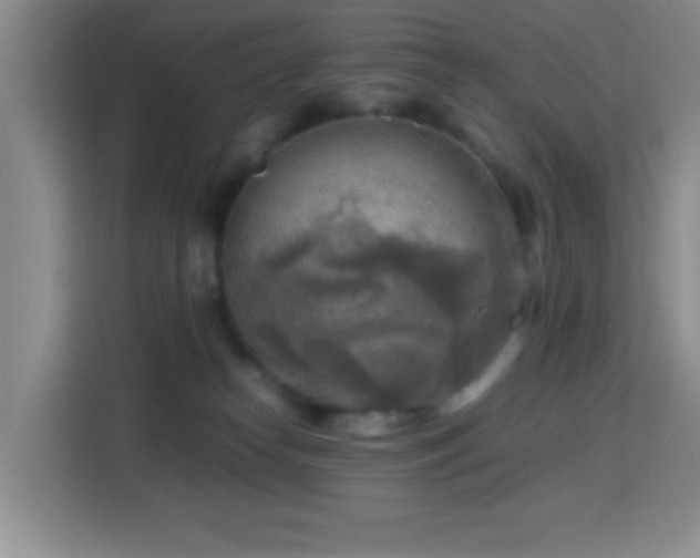 X0000113750182200909301039