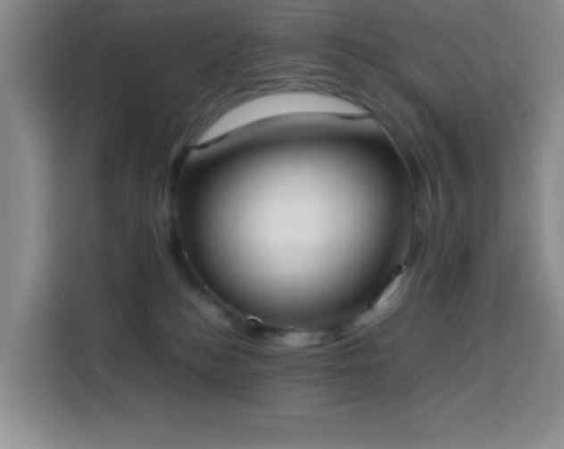 X0000113750184200909301039