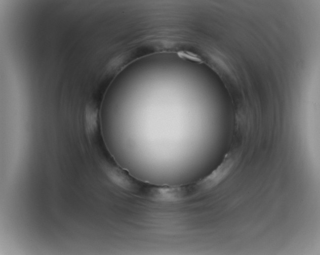 X0000113750188200909301039