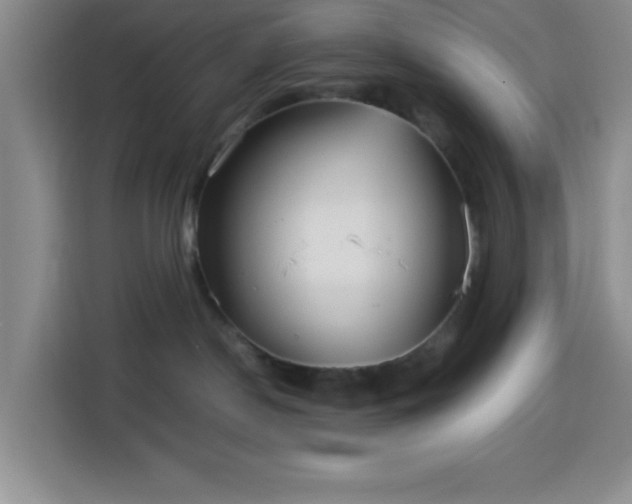 X0000113750190200909301039