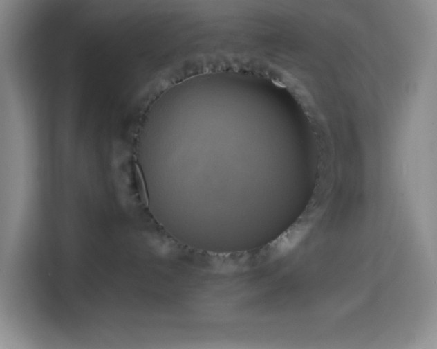 X0000113750192200909301039