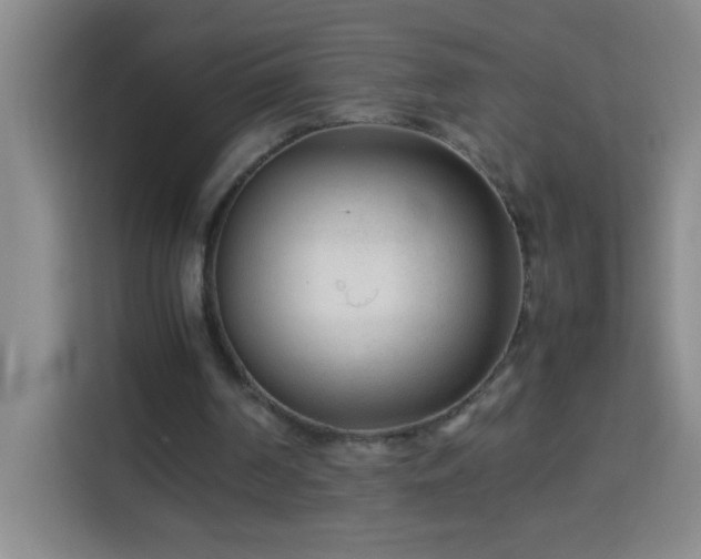 X0000113750194200909301038