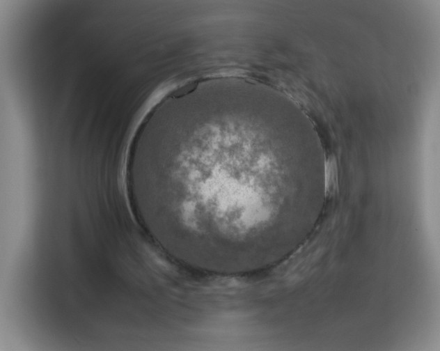 X0000113750195200909301038