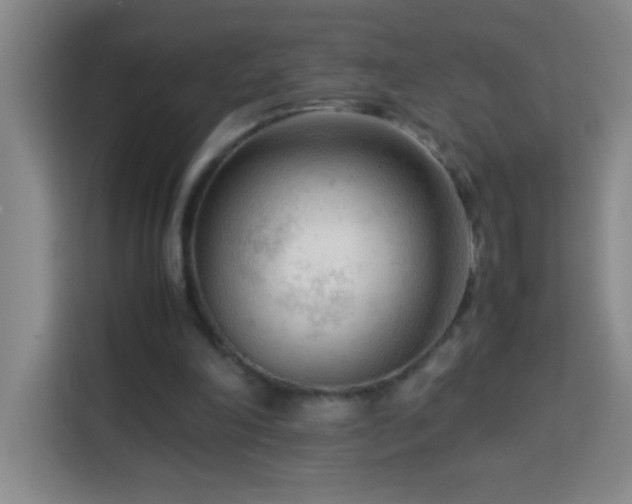 X0000113750198200909301038