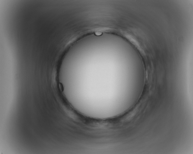 X0000113750201200909301038