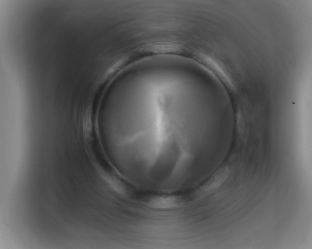 X0000113750202200909301038