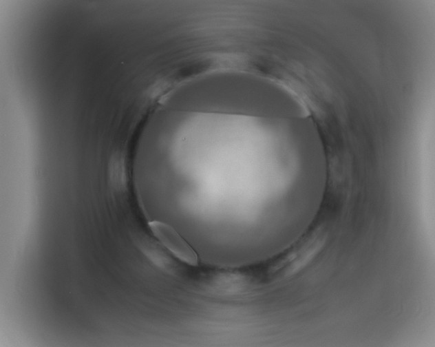 X0000113750203200909301038