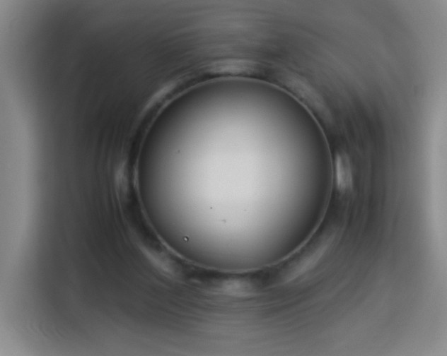 X0000113750204200909301038