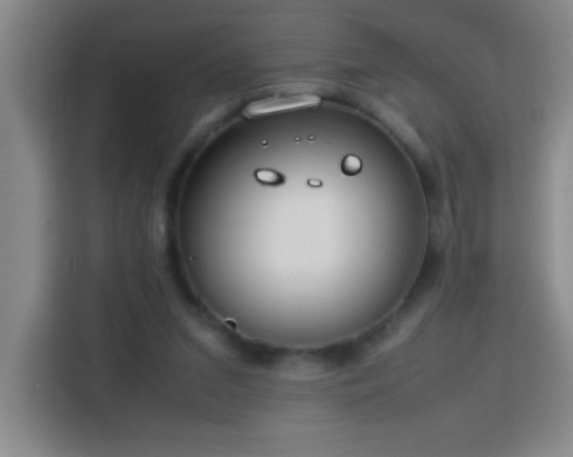 X0000113750207200909301038