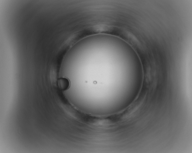 X0000113750210200909301038