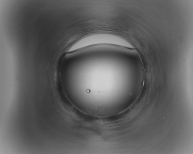 X0000113750211200909301038