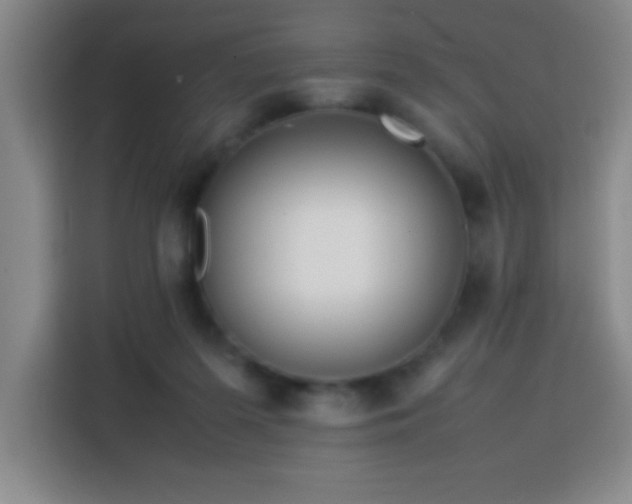 X0000113750215200909301038