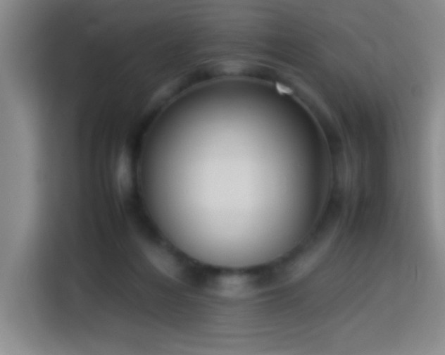 X0000113750216200909301038